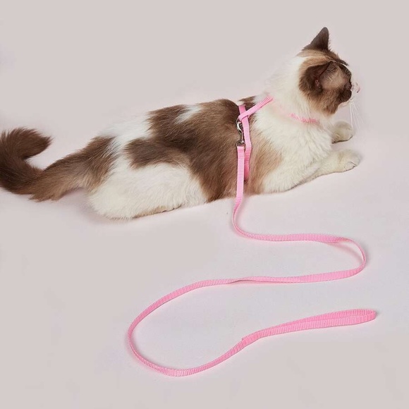 pink cat harness